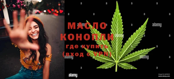 индика Шарыпово