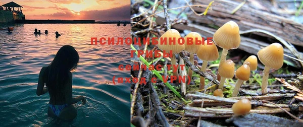 прущий лед Елабуга