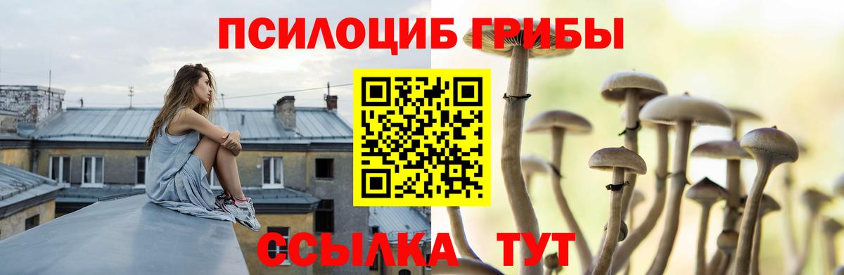 Галлюциногенные грибы GOLDEN TEACHER Похвистнево